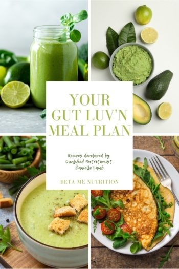 gut health, downloaded meal plan