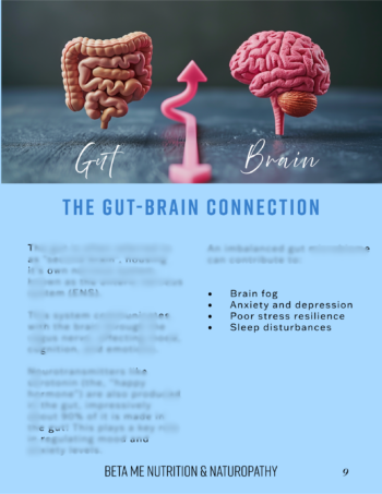 The Gut-Brain Connection