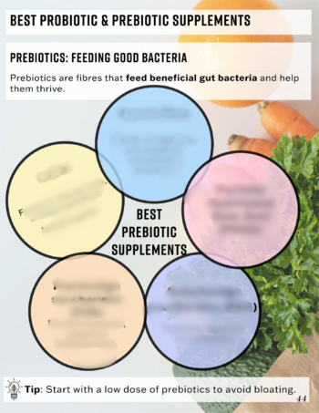 Prebiotic Fibre for a Healthy Gut